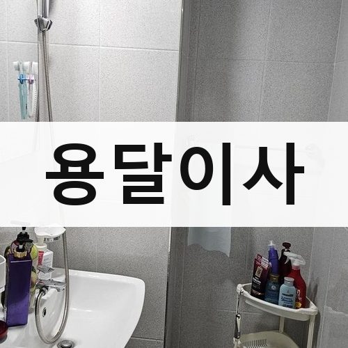 서울 강북·도심 용달이사 포장이사