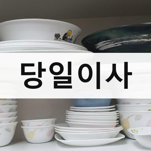 서울 강북·도심 당일이사 포장이사